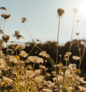 基隆土地貸款《榮華行銷理財中心 》