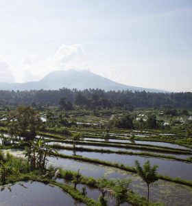 新竹土地貸款《榮華行銷理財中心 》
