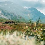 台中農地貸款好辦嗎？申辦條件、流程都在這裡！