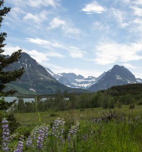 花蓮土地貸款《榮華行銷理財中心 》