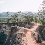 勞保異動明細怎麼查？5方法一次了解！