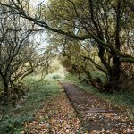 雲林農地貸款來這辦！為您量身規劃最佳方案