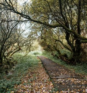 嘉義農地貸款《榮華行銷理財中心 》