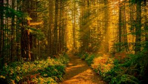 高雄農地貸款《榮華行銷理財中心 》