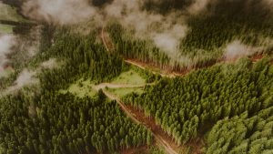 農地建地差別《榮華行銷理財中心》