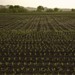 嘉義代書貸款推薦！掌握這7點就能快速取得資金