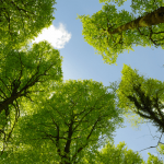 平均地權條例5大修法重點！帶你了解實際影響