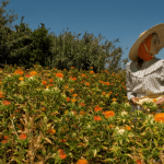 代償高利申請攻略！教你如何脫離高利債務困境