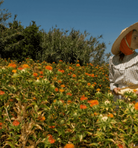 農會貸款《榮華行銷理財中心》