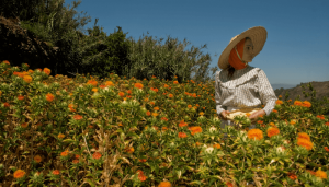 農會貸款《榮華行銷理財中心》